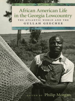 cover image of African American Life in the Georgia Lowcountry